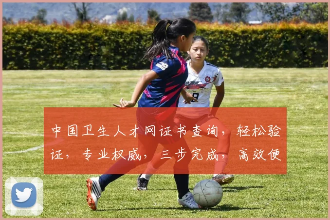 中国卫生人才网证书查询，轻松验证，专业权威，三步完成，高效便捷，一站式服务