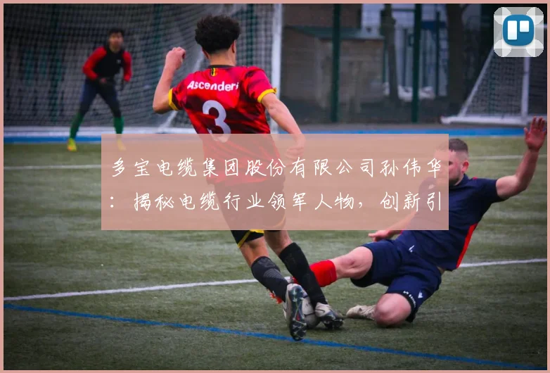 多宝电缆集团股份有限公司孙伟华：揭秘电缆行业领军人物，创新引领未来之路