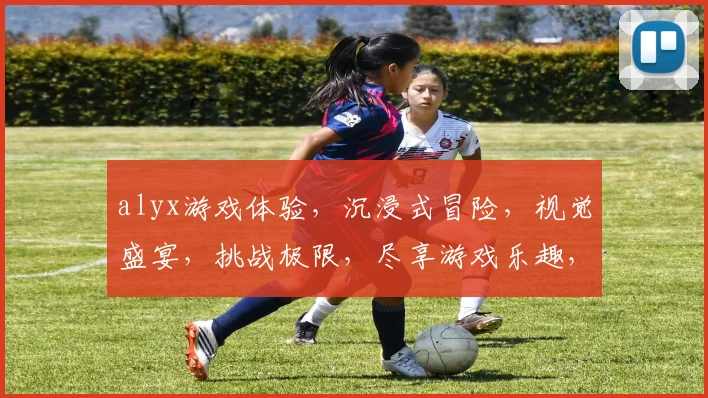 alyx游戏体验，沉浸式冒险，视觉盛宴，挑战极限，尽享游戏乐趣，不容错过