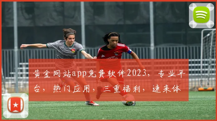 黄金网站app免费软件2023，专业平台，热门应用，三重福利，速来体验