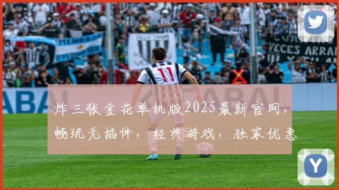 炸三张金花单机版2025最新官网，畅玩无插件，经典游戏，独家优惠，一触即达
